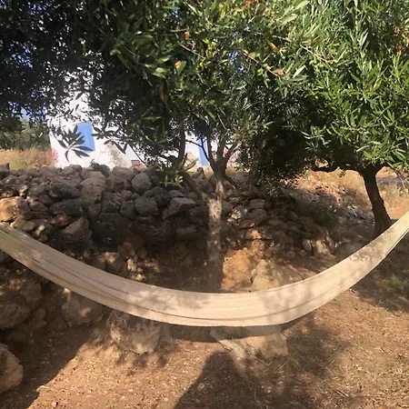 Graces House Villa Kalamata